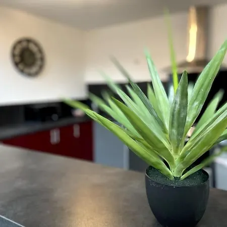 Superbe Loft Lumineux A