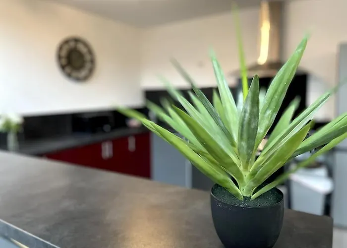 Superbe Loft Lumineux A